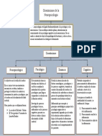 Orientaciones de La Neuropsicologia-Organizador 1