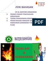 Theori API & Anatomi Kebakaran