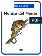 CL CN 1660266748 Poster Animales de Chile - Ver - 1