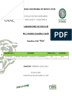 Pia Lab Fisica 2