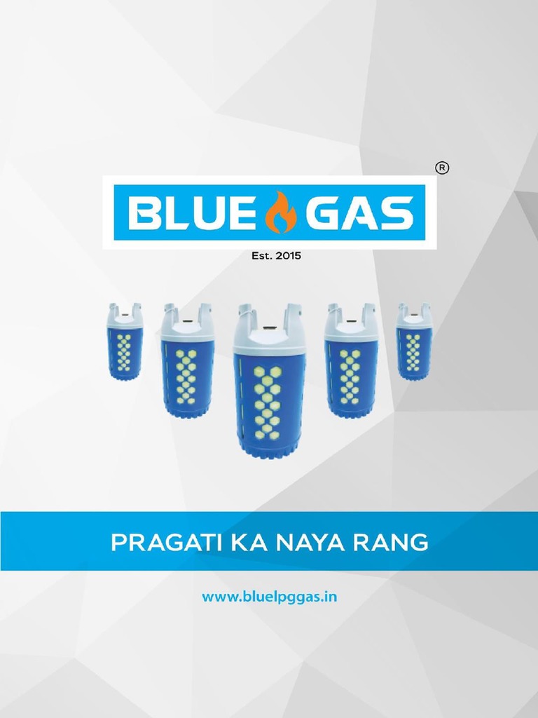 Bluegas 2021 India | PDF