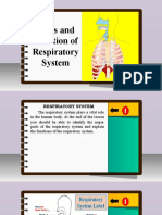 Science 6 - Q2 - L6 - Parts and Function of Respiratory System