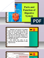 Science 6 - Q2 - L3 - Parts and Function of Digestive System