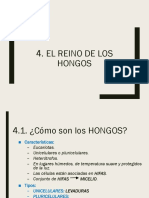 Esquema Clase Hongos