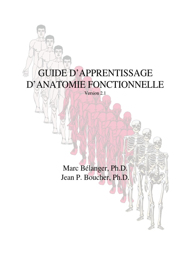 Précis De L’Apprentissage Pdf – Précis De L’Apprentissage Dgefp – LLZJNQ