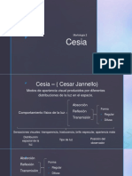 Presentación de Cesia