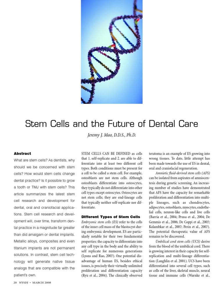 Stem Cells and The Future of Dental Care | PDF | Stem Cell ...