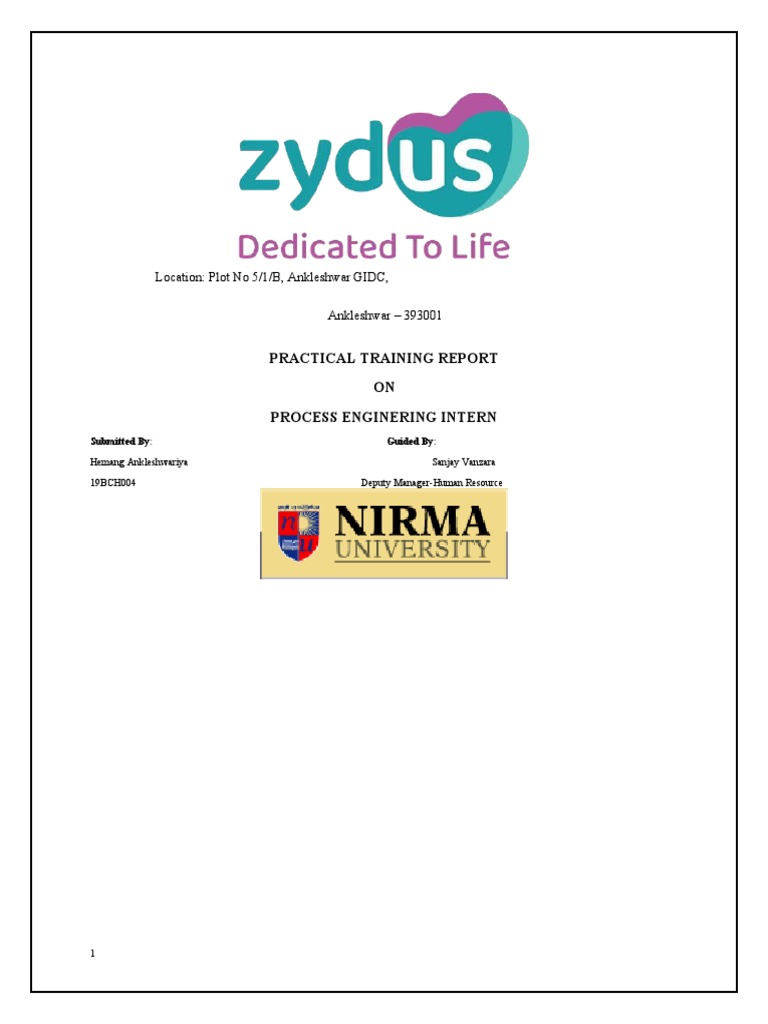 Practical Training Report | PDF