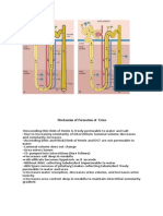 Formation of Urine via Henle's Loop and Collecting Duct