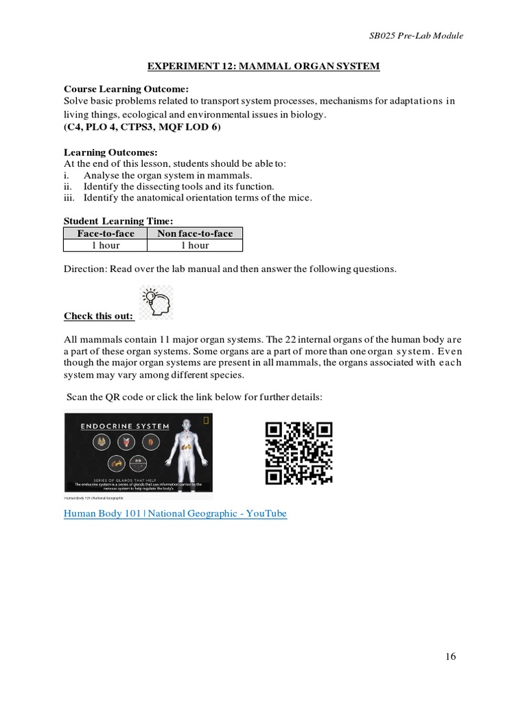 2021 Expt 12 Pre Lab - Mammal Organ System | PDF