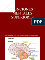 Funciones Mentales Superiores