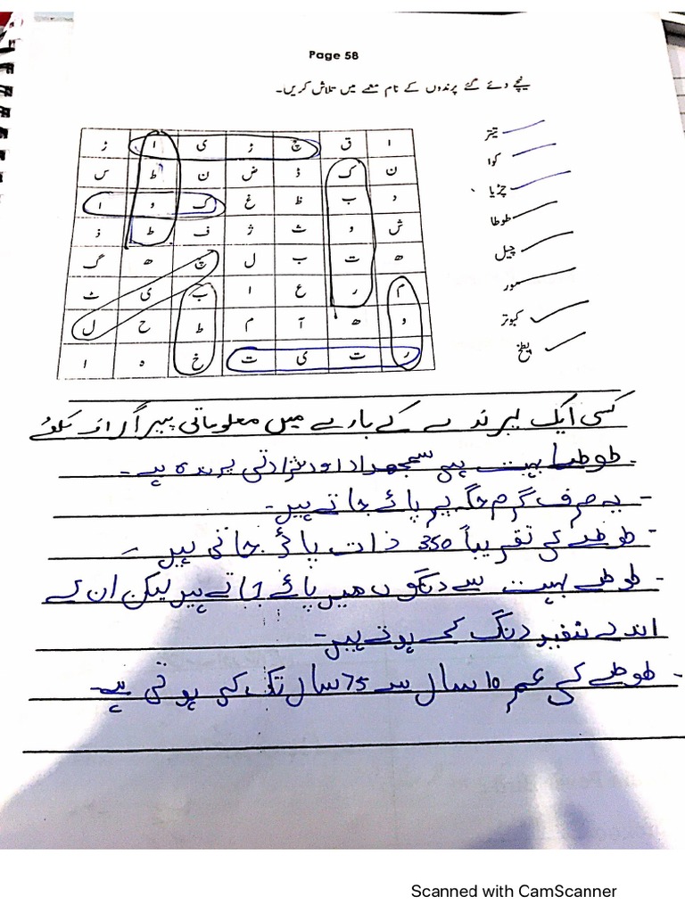 urdu assignment page