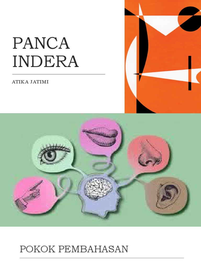 Panca Indera dan Fungsinya | PDF