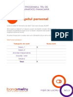 Curs 3 Bugetul Personal