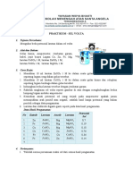 Lembar Praktikum Sel Elektrokimia-1