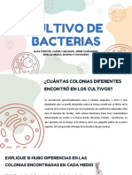 Cultivo de Bacterias
