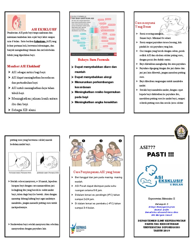 Leaflet ASI Eksklusif | PDF