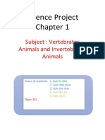 Vertebrates vs Invertebrates Science Project