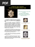 Cristales de Agua Consciente