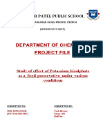 Chemistry Project PDF