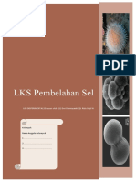 LKS pembelahan Sel Fix