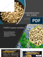 Conservacion Del Tarwi