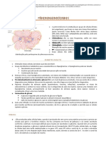 Fisiopatologia Do Pancreas e DM