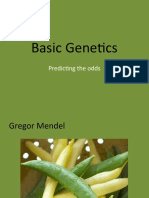 Basic Genetics Slides