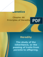 Chapter 4 PPT Genetics