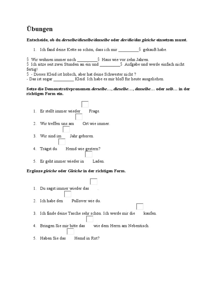 Dasselbe Das Gleiche Uebungen PDF