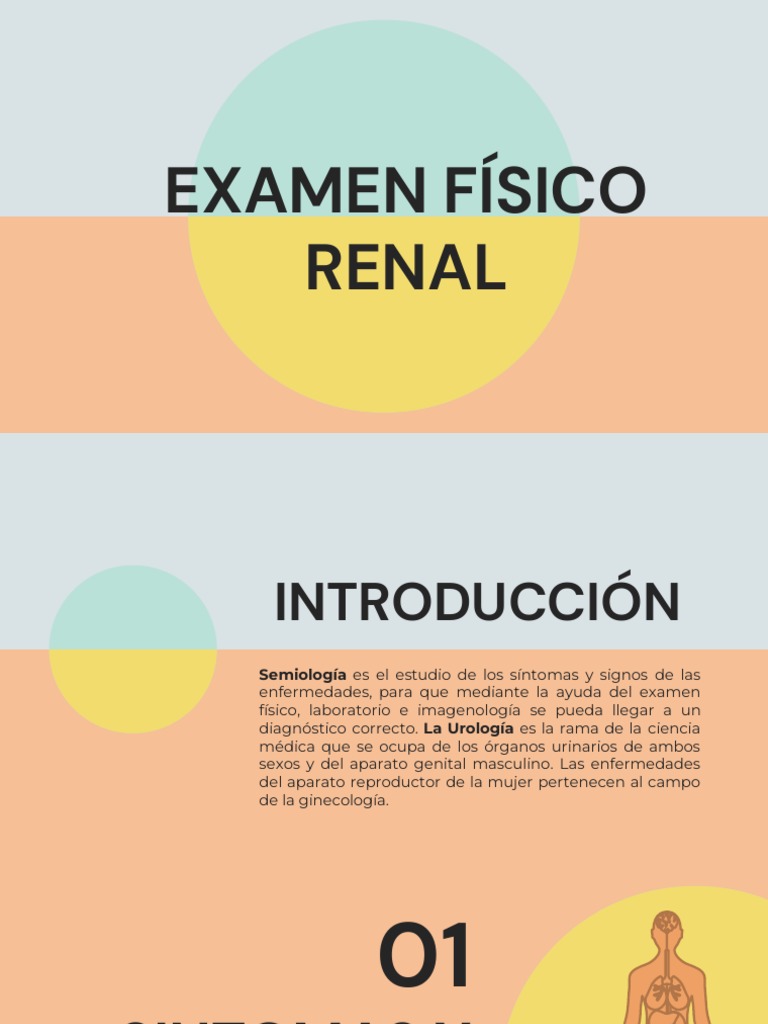 Examen Fisico | PDF | Vejiga urinaria | Riñón