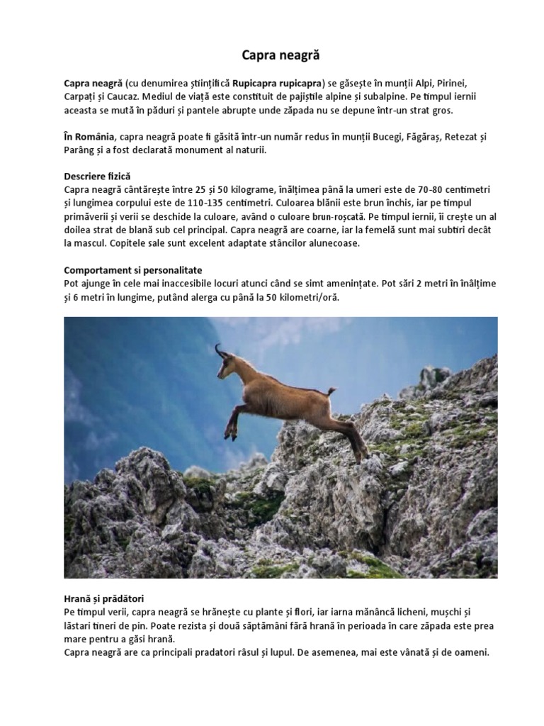 Capra Neagră | PDF
