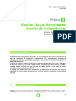 Java Developer Dossier