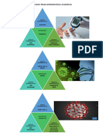 Actividad Tríada Epidemiológica 10 Ejemplos