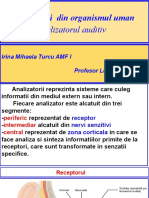 Analizatorul Auditiv Rol Si Cractere Generale