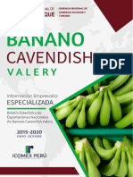 Boletín Banano Cavendish Valery Enero-Agosto 2020