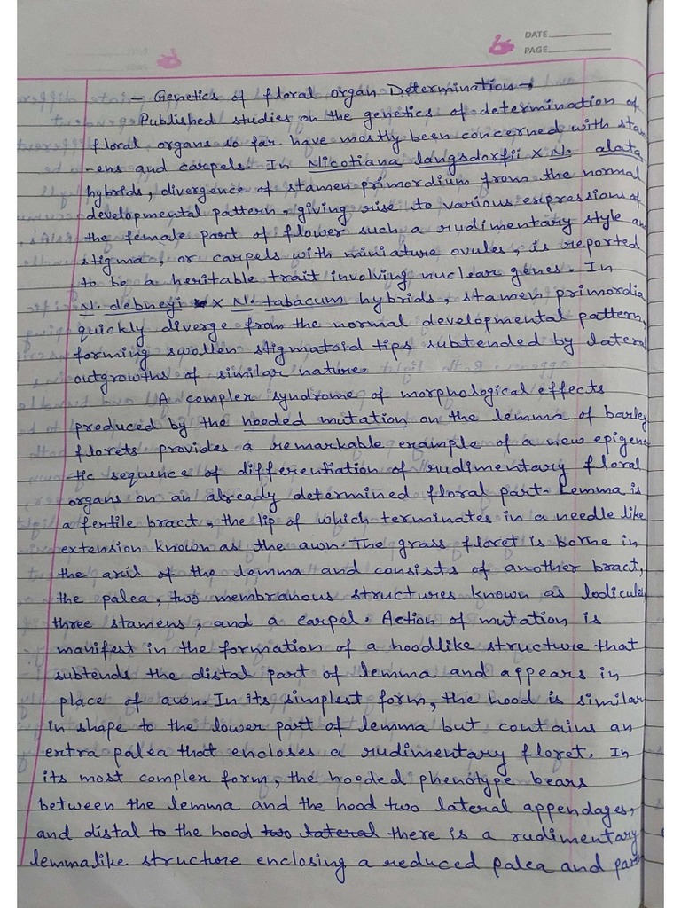 of Floral Organ Determination PDF