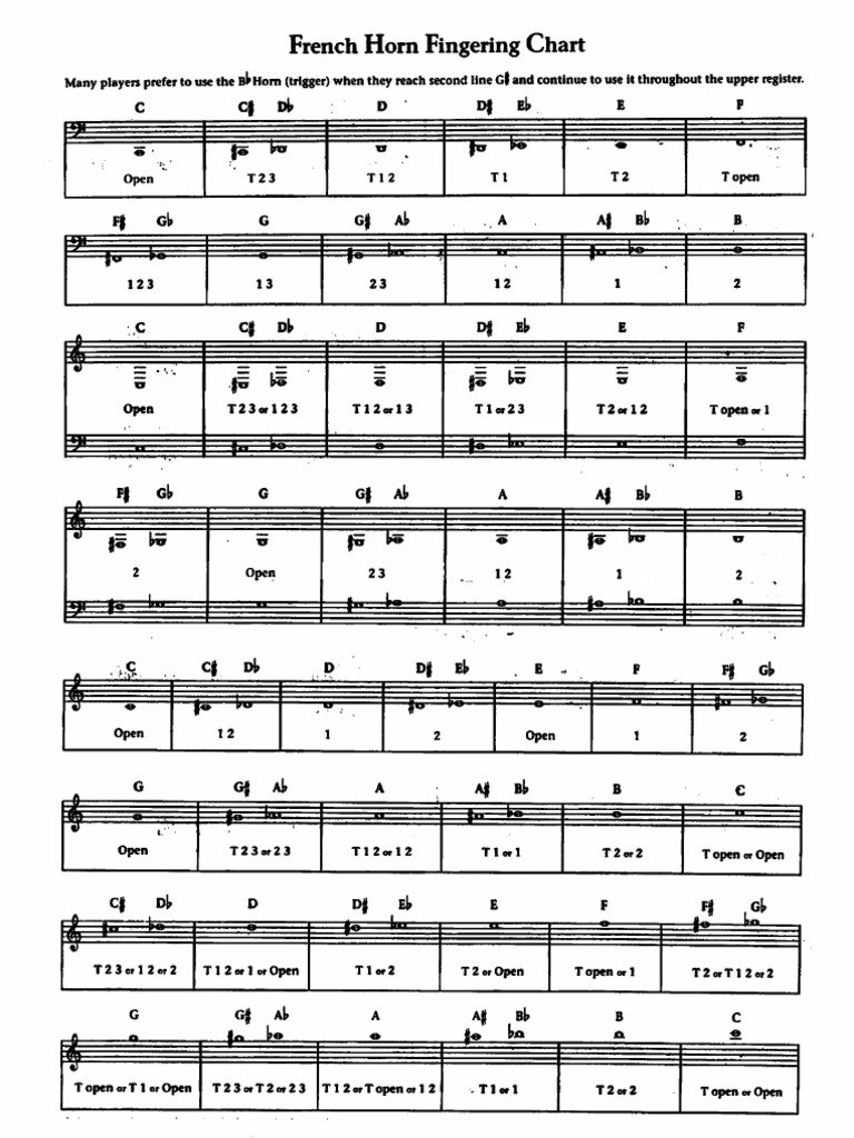 French Horn Fingering Chart | PDF