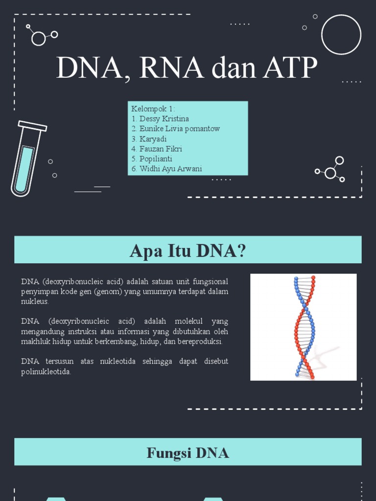 Dna, Rna Dan Atp - PPT Kelompok 1 Biokimia | PDF