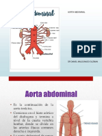 AORTA ABDOMIAL DR DMG