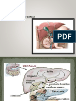 HIGADO VB PANCREAS DR DMG