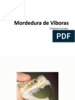 Mordedura de Viboras