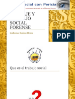 Peritaje y Trabajo Social Forense Presentacion Repaso 250519