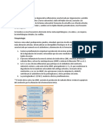 Osteoartritis: dolor crónico y destrucción articular