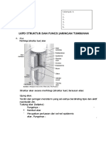 OPTIMIZED TITLE FOR PLANT TISSUE STRUCTURE AND FUNCTION DOCUMENT