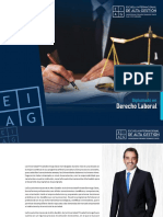 Brochure - Derecho Laboral