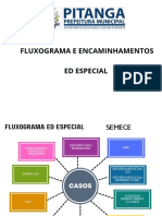 Fluxograma Ed Especial - Semece