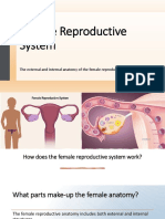 Female Reproductive System