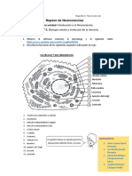 Repaso de La Semana 2 Biología Celular y Molecular de La Neurona