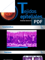 PDF Tejido Epiteliales